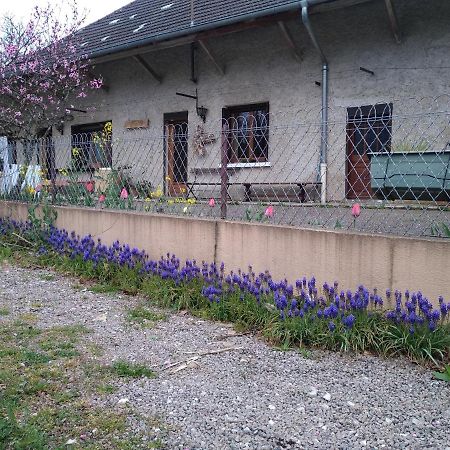 Apartamento Chez Domi Syl Gite Nature Colonne Exterior foto