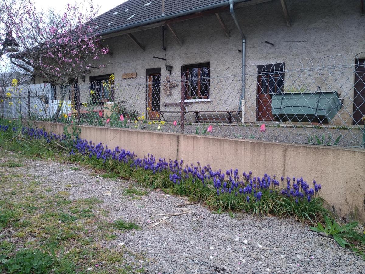 Apartamento Chez Domi Syl Gite Nature Colonne Exterior foto